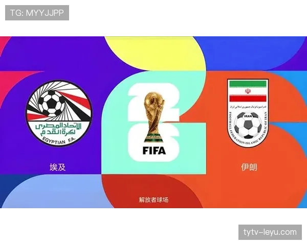 埃及1-1伊朗:世界杯G组末轮战报